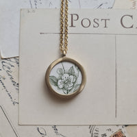 Fiore verde