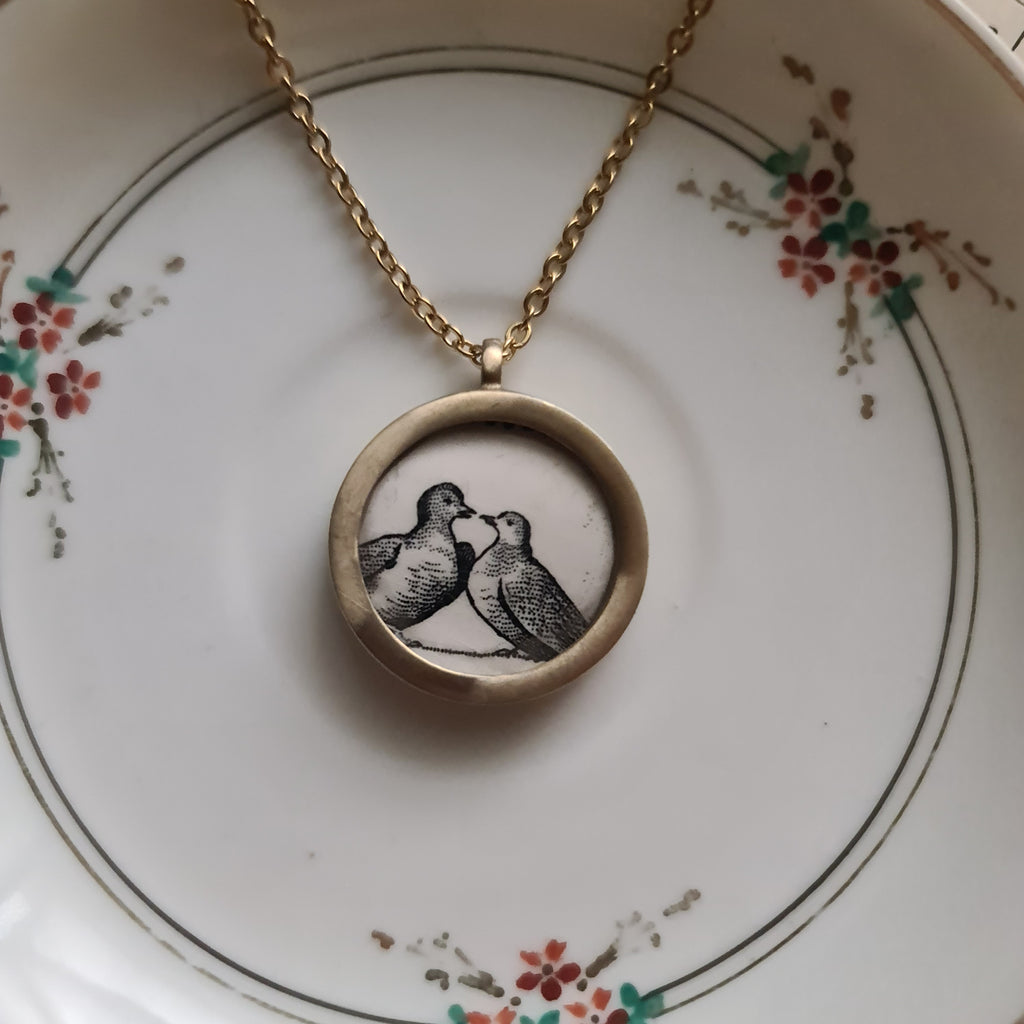 Colombe innamorate francese