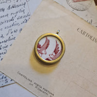 Colombe in volo
