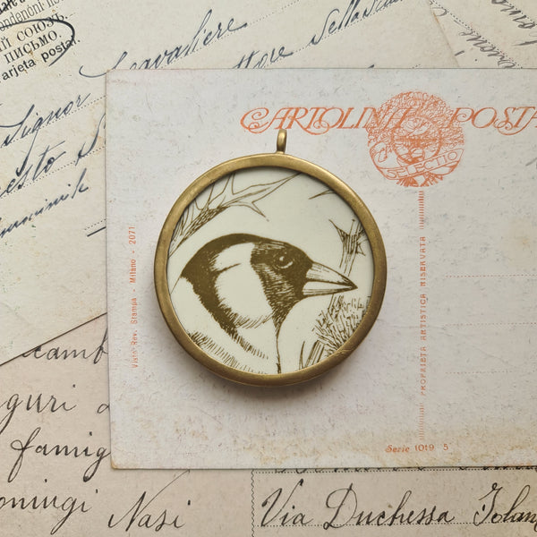 Uccellino verde